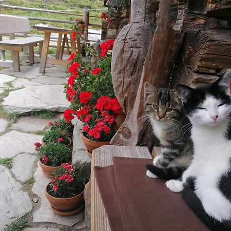 Birnbaum Chalets Grossarl Bagian luar foto