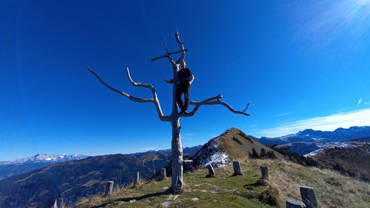 Birnbaum Chalets Grossarl Bagian luar foto
